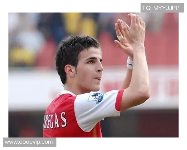 足球明星法布雷加斯的传奇旅程与辉煌成就回顾